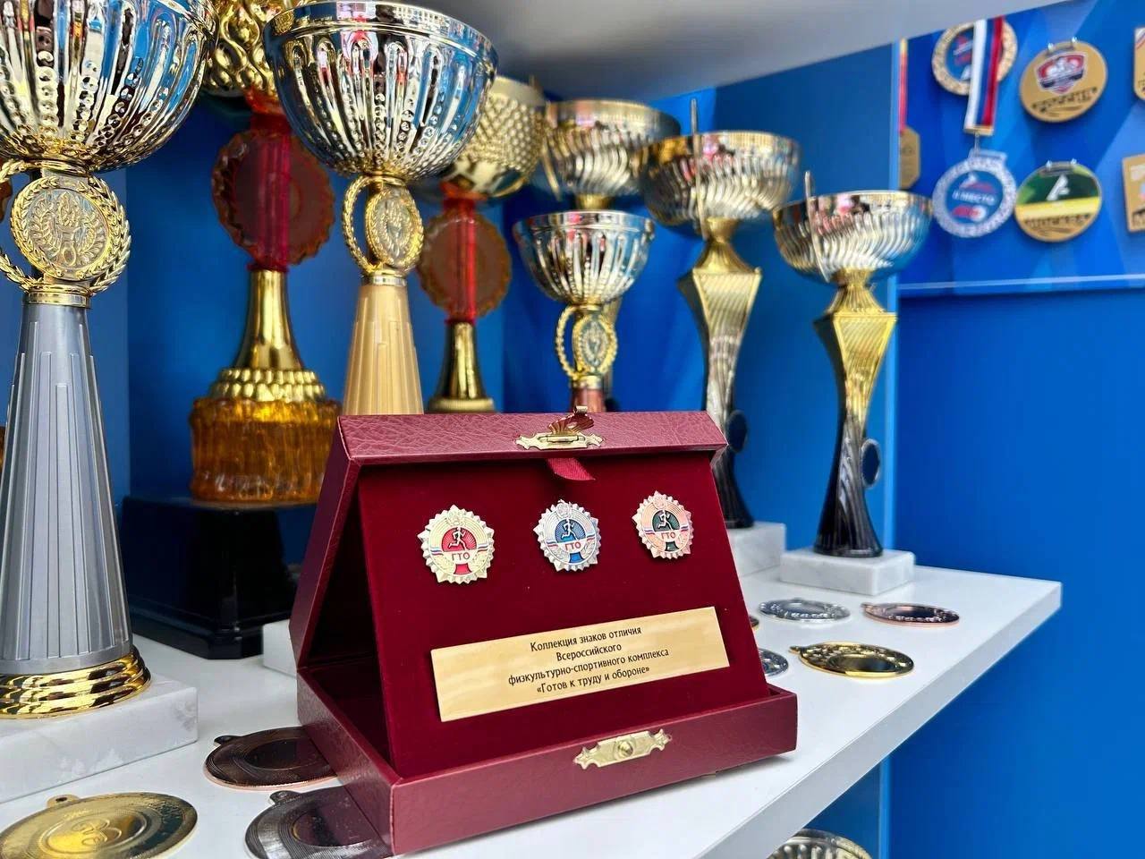 10 зимних активностей для чемпионов.