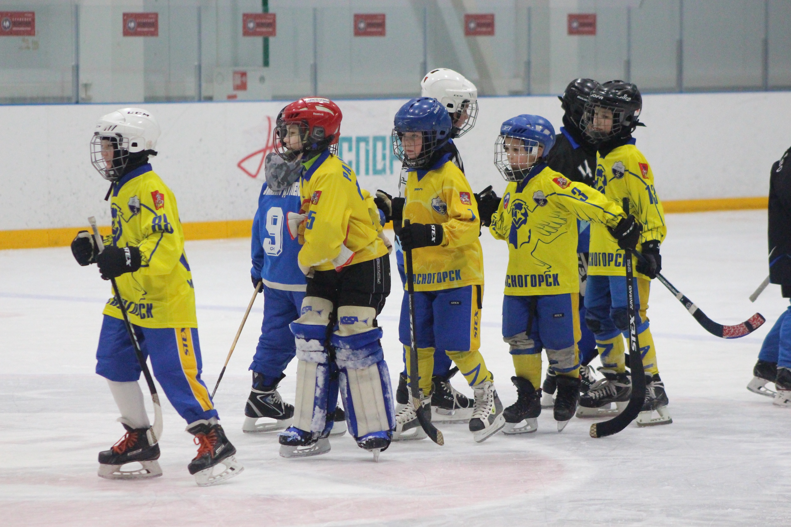Новогодний турнир по хоккею с мячом прошёл на «Красногорск Арене».